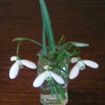 Photo001