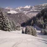 V_Chatel (41)