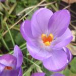 march 2010 006