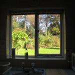 Kitchen window view