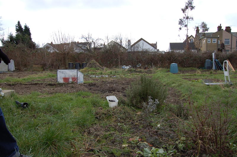 DSC_9106.JPG
