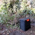 Back wall 4 and square dalek