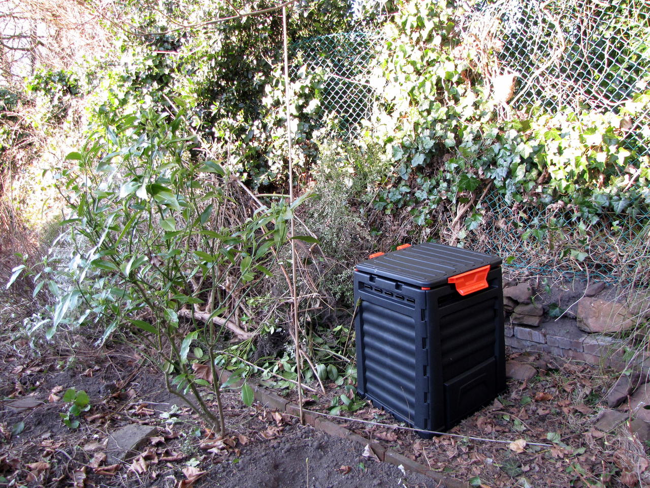 Back wall 4 and square dalek