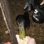 jan-march 10 091