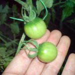 DSC00925