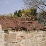 April 2010 024