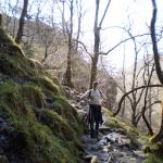 Waterfall 072