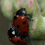 DSC03020a