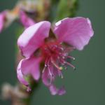 DSC03011a
