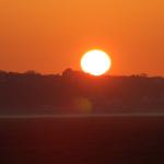 DSC_9316.JPG