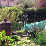 Corner of the veg bed
