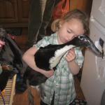 Mary and ducks  & Bridgenorth 001