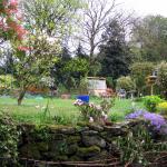 Garden view from living room