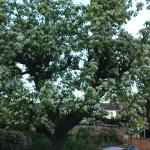 dsc00505.jpg