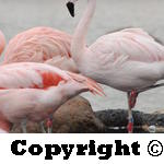 spain tuesday wednesday 140