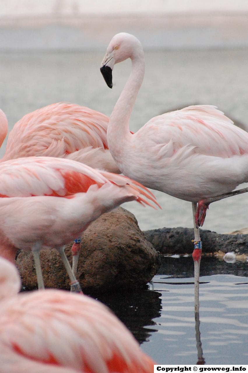 spain tuesday wednesday 140