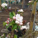 DSC02490.JPG