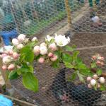 DSC02491.JPG
