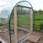 may 11th Growers and polytunnel 005
