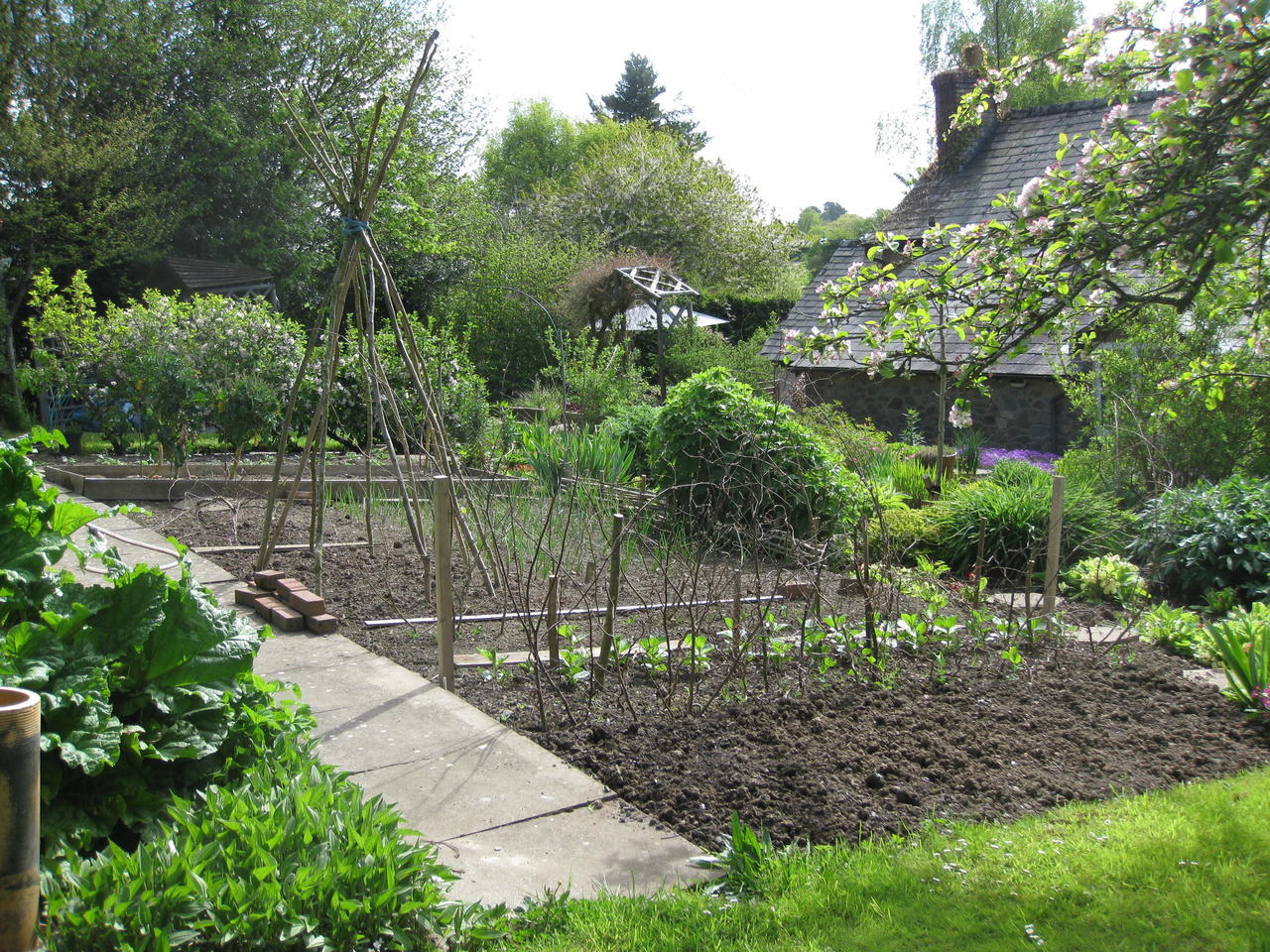 Veg Plot