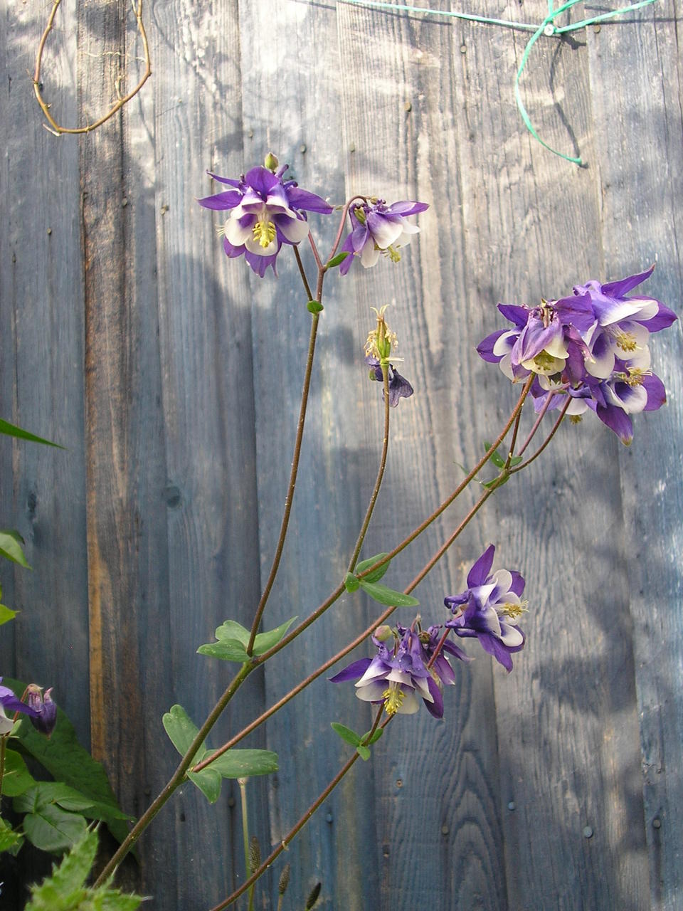 P1010401