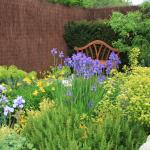 Dyslexia Garden