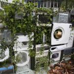 Places of Change - New Life