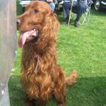 Western Park 2009 149