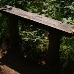 DSC03421