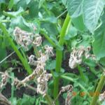 DSCN0227.JPG