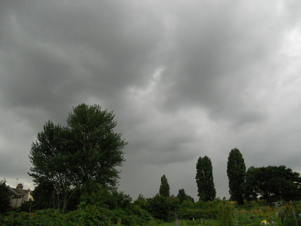 DSCN0516.JPG