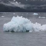 Iceberg