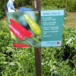 DSCN0603.JPG