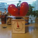 DSC00046.JPG