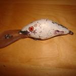 beachcombing008