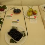 DSCN0795.JPG