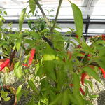 DSCN0931.JPG