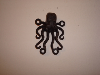 octopus