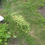 DSCN1061.JPG