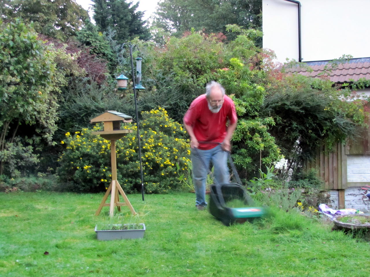 Mowing the lawn