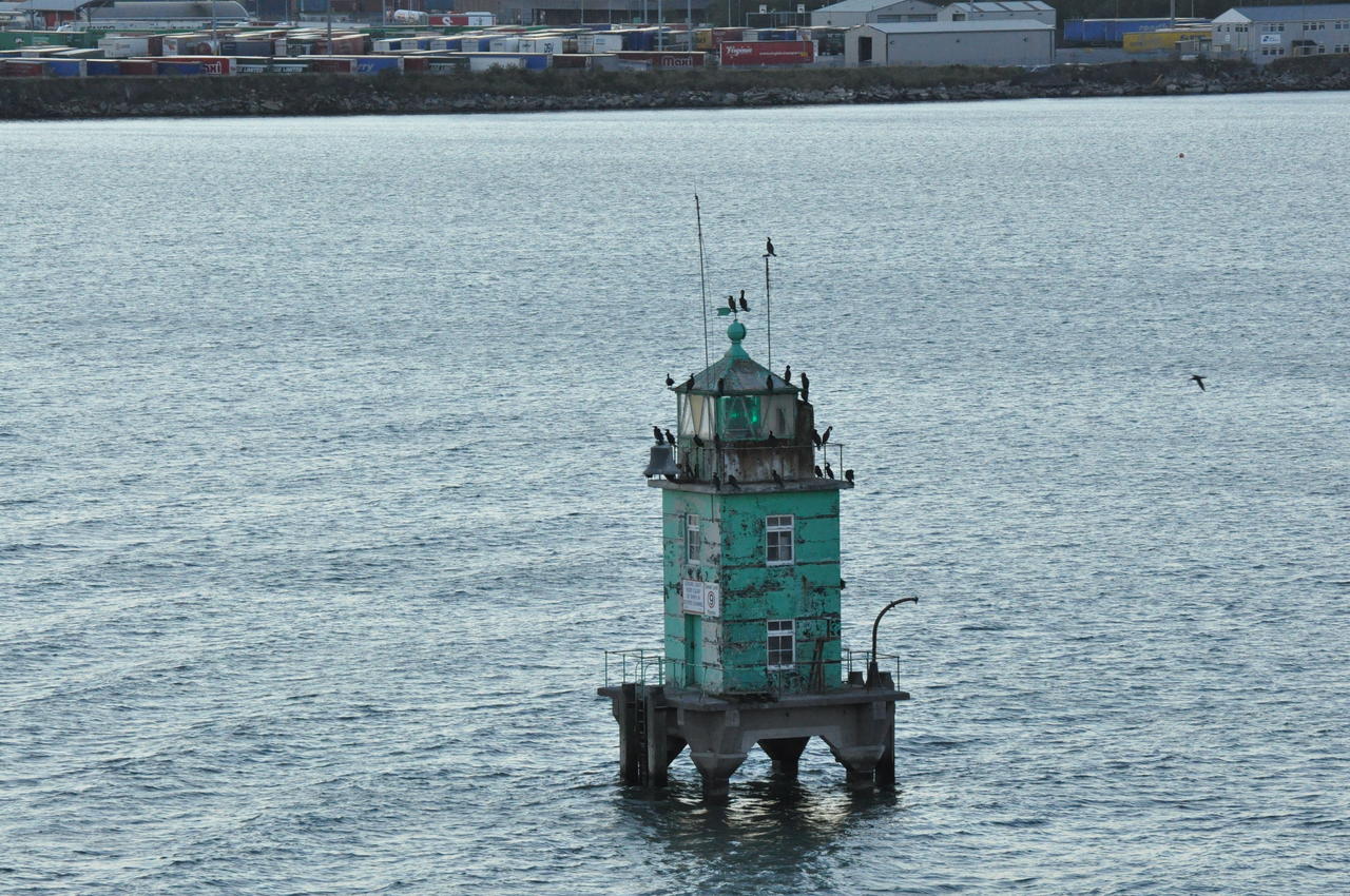 Dublin (31)