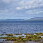 Tain (27)