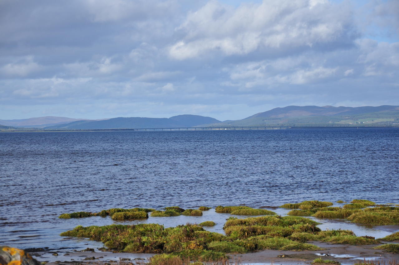 Tain (27)