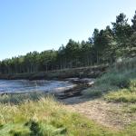Tain (29)