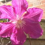 Photo006