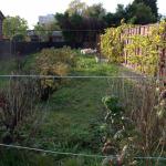 Veg patch looking West