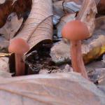 DSC00932.JPG