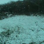 DSC01124.JPG