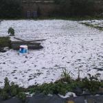 DSC00085