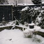 Winter 2010 001
